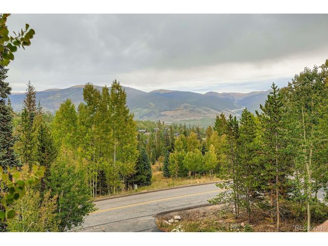 323 Twenty Grand Dr, Silverthorne, CO 80498