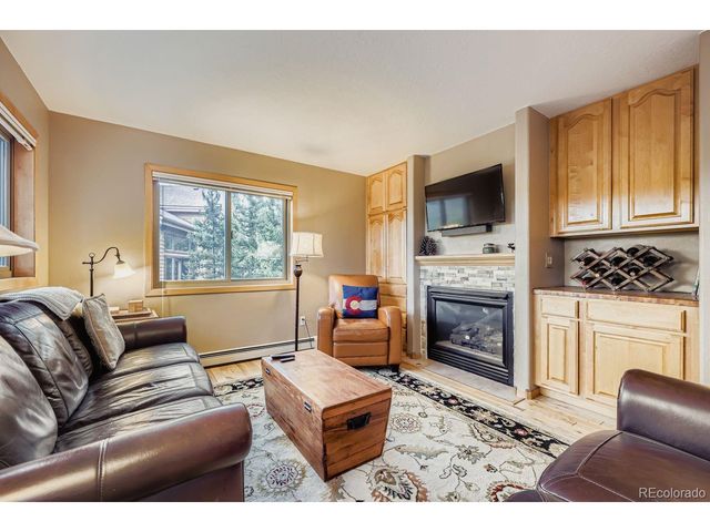 323 Twenty Grand Dr, Silverthorne, CO 80498