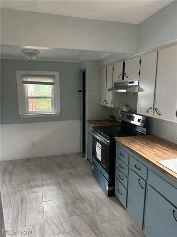 875 Mckinley Avenue, Akron, OH 44306