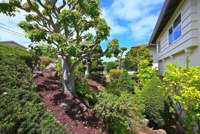 21714 Shadyspring Rd, Castro Valley, CA 94546