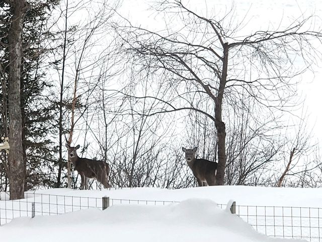 59357 N Lakeshore Drive, Calumet, MI 49913