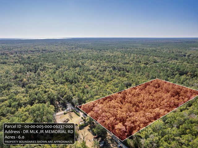 XX Dr Mlk Jr Memorial Road, Crawfordville, FL 32327