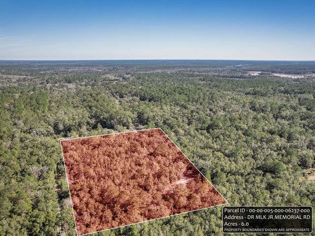 XX Dr Mlk Jr Memorial Road, Crawfordville, FL 32327