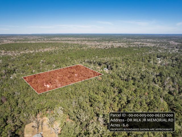 XX Dr Mlk Jr Memorial Road, Crawfordville, FL 32327