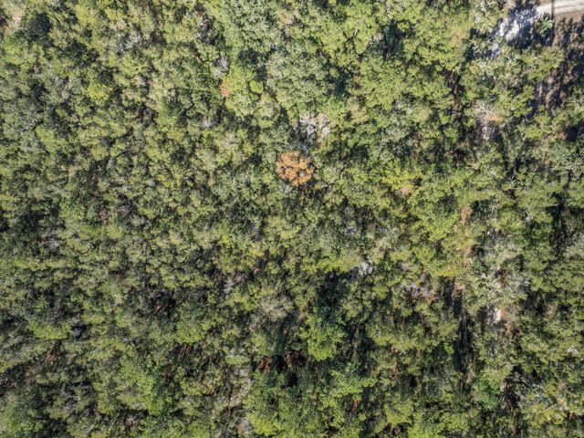 XX Dr Mlk Jr Memorial Road, Crawfordville, FL 32327