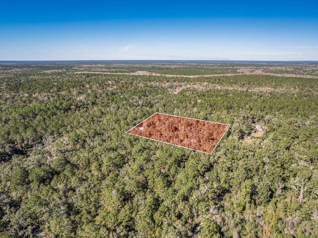 XX Dr Mlk Jr Memorial Road, Crawfordville, FL 32327