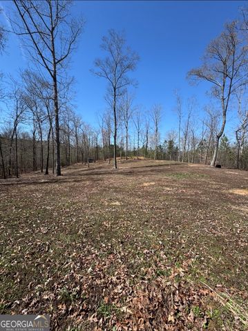 7022 Ga Highway 100, Buchanan, GA 30113