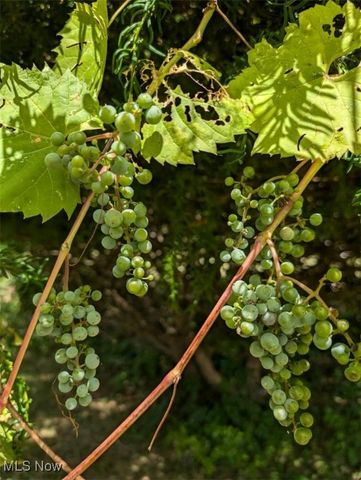 17005 Lipton Avenue, Cleveland, OH 44128