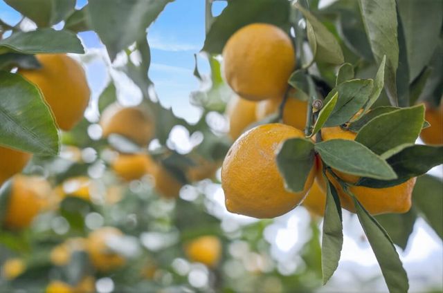 4961 I Pkwy, Sacramento, CA 95823