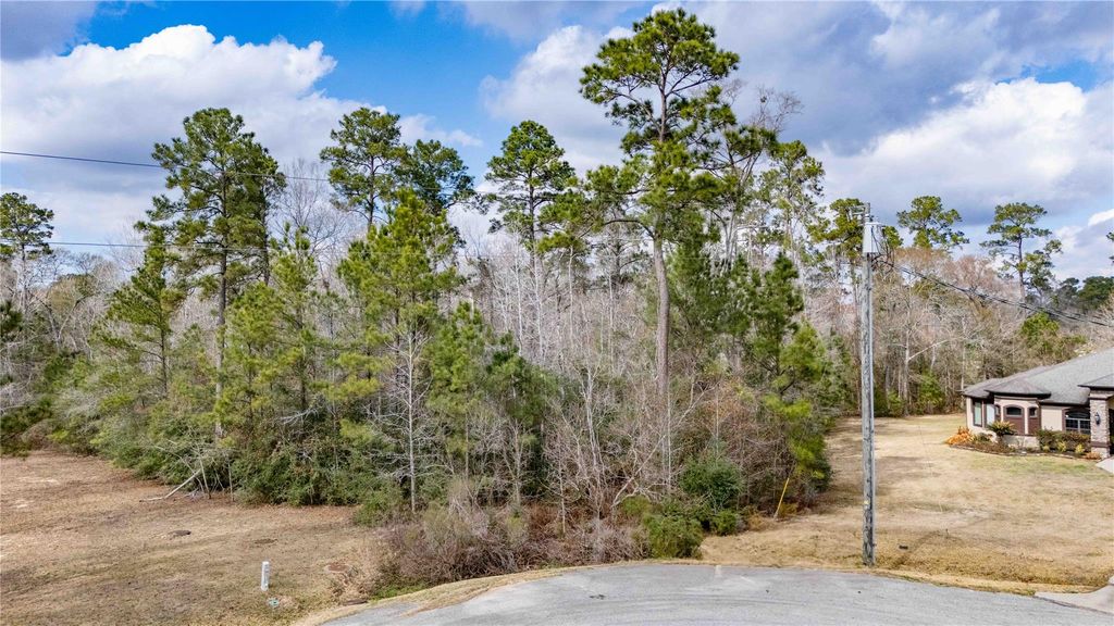 0 Palmer Oaks Drive, Huffman, TX 77336