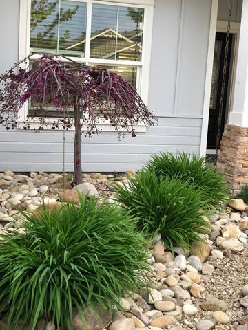 2605 Springcrest Street, Caldwell, ID 83607