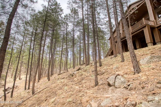 520 N Silverleaf Lane, Show Low, AZ 85901