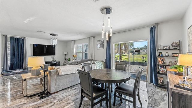 3509 DIAMOND LEAF COURT, Valrico, FL 33594