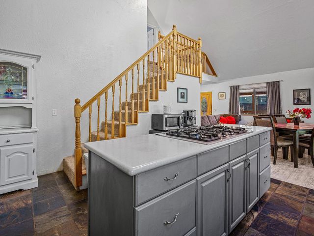 26877 Silver Dr, Pioneer, CA 95666