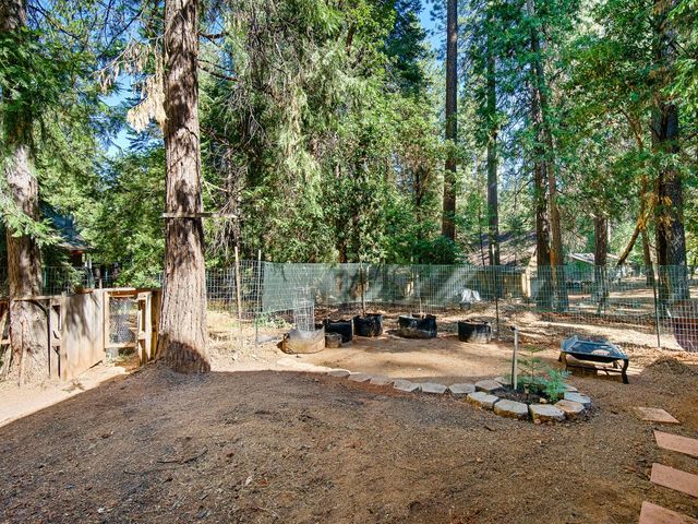 26877 Silver Dr, Pioneer, CA 95666