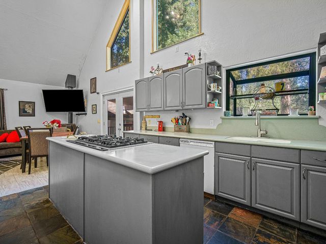 26877 Silver Dr, Pioneer, CA 95666