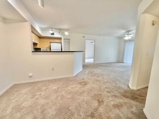 4200 San Marino Boulevard 107, West Palm Beach, FL 33409
