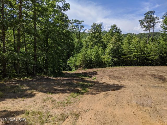 201 Old Ridge Rd, Kingston, TN 37763