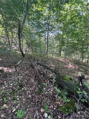 Lot 10, Block 4 Gretton Lane, Bella Vista, AR 72714