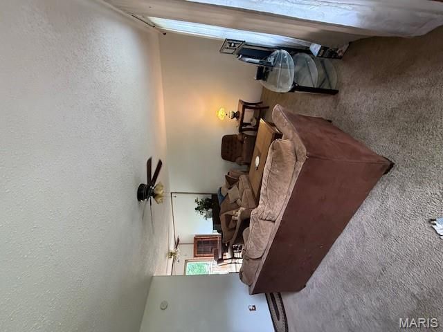 338 Kronos Drive, De Soto, MO 63020