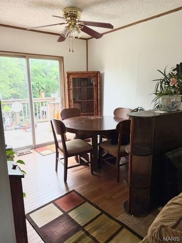 338 Kronos Drive, De Soto, MO 63020