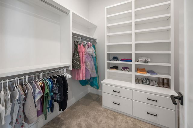 1307 E Bluestem Ct, Andover, KS 67002