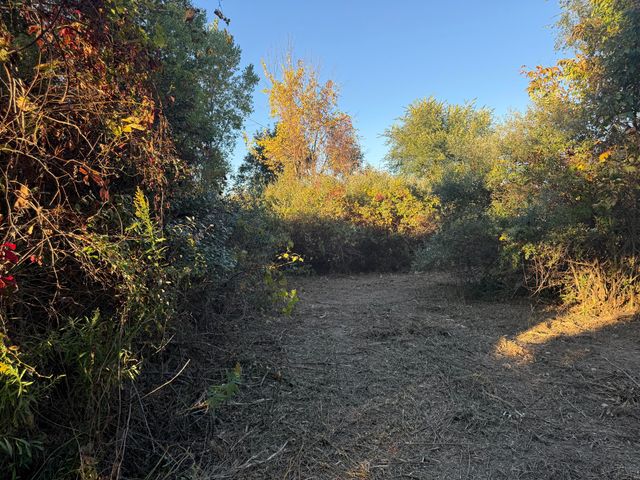 TBD N N. Mill Road Road, Dryden Twp, MI 48428