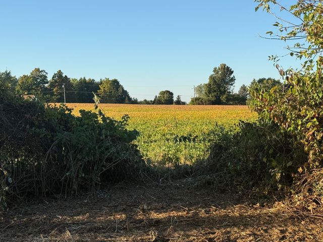 TBD N N. Mill Road Road, Dryden Twp, MI 48428