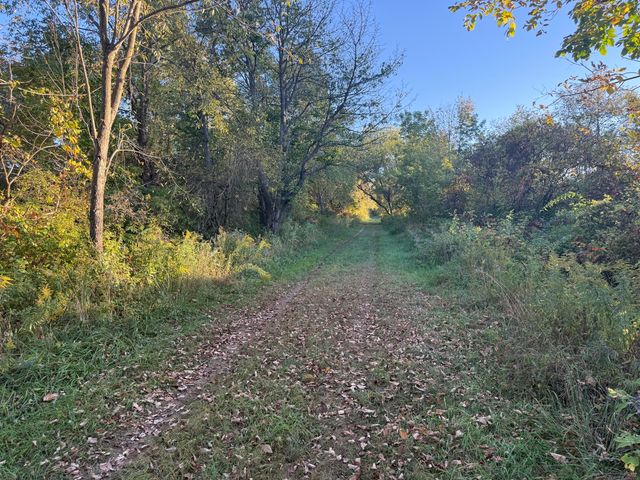 TBD N N. Mill Road Road, Dryden Twp, MI 48428