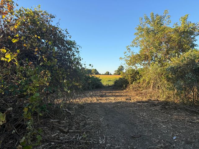 TBD N N. Mill Road Road, Dryden Twp, MI 48428