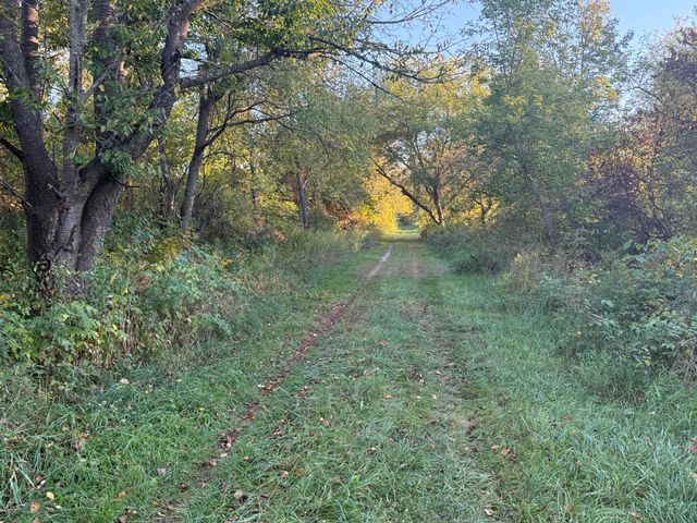 TBD N N. Mill Road Road, Dryden Twp, MI 48428