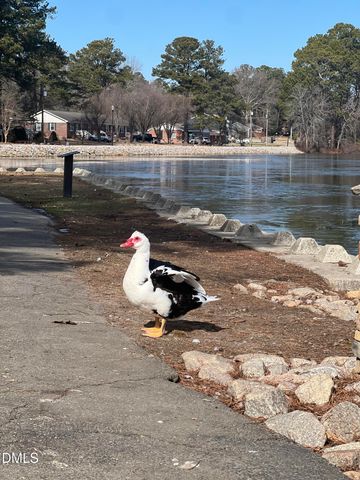 68 Muskogee Road, Angier, NC 27501