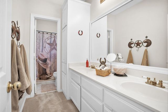 7646 Millies Run Road, Montgomery, TX 77316