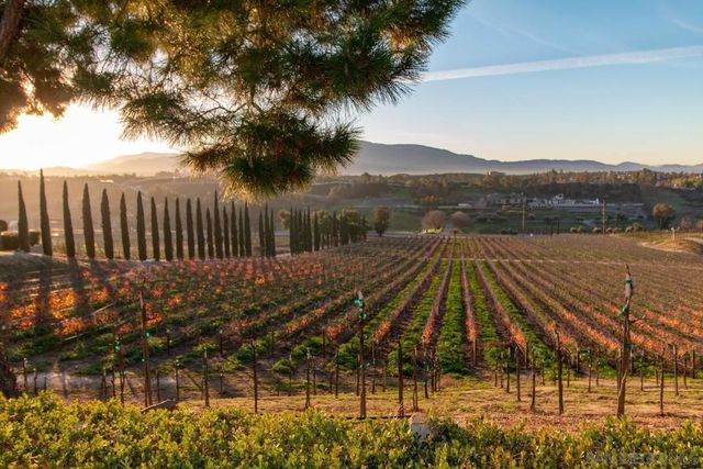 24643 Leafwood Dr, Murrieta, CA 92562