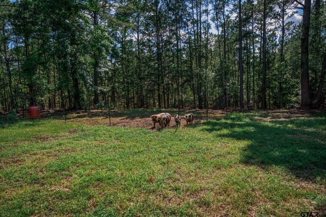 5230 FM 1404, Gilmer, TX 75645