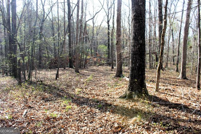 0 Hendrix Rd., Newnan, GA 30263