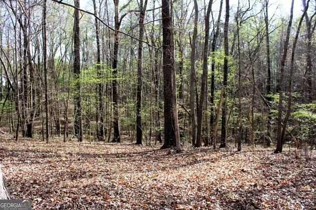 0 Hendrix Rd., Newnan, GA 30263