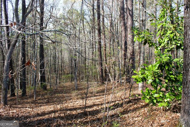 0 Hendrix Rd., Newnan, GA 30263