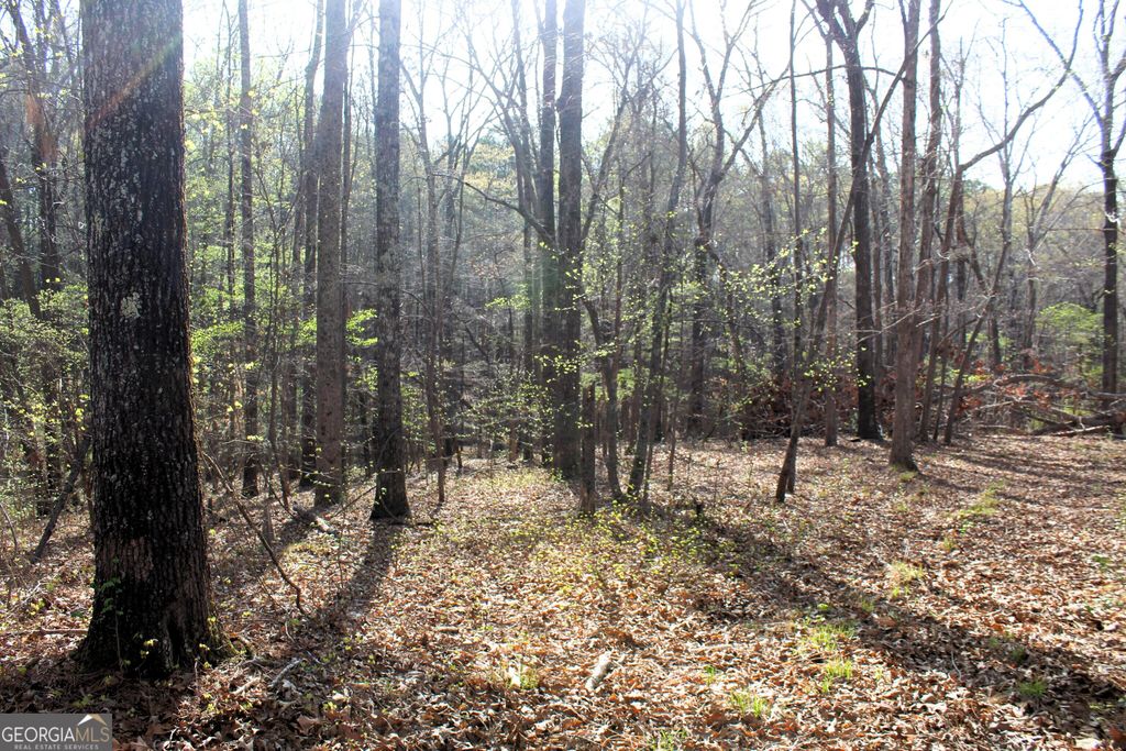 0 Hendrix Rd., Newnan, GA 30263