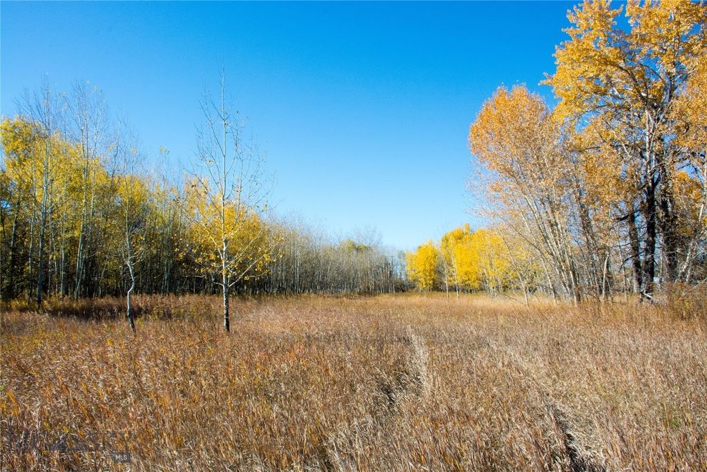 TBD L Street & Story Mill Road, Bozeman, MT 59715 photo 13