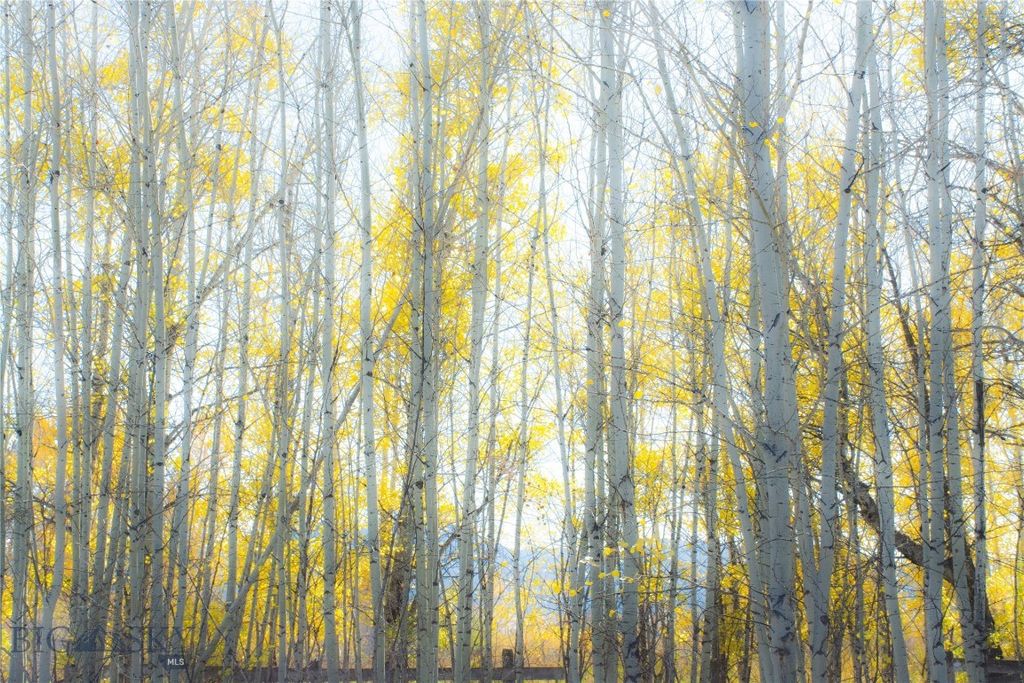 TBD L Street & Story Mill Road, Bozeman, MT 59715 photo 15