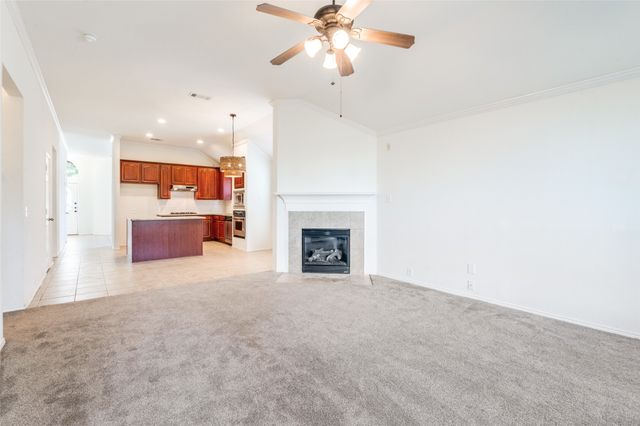 11169 La Cantera Trail, Frisco, TX 75033