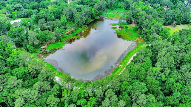 41 Lakeview, New Waverly, TX 77358