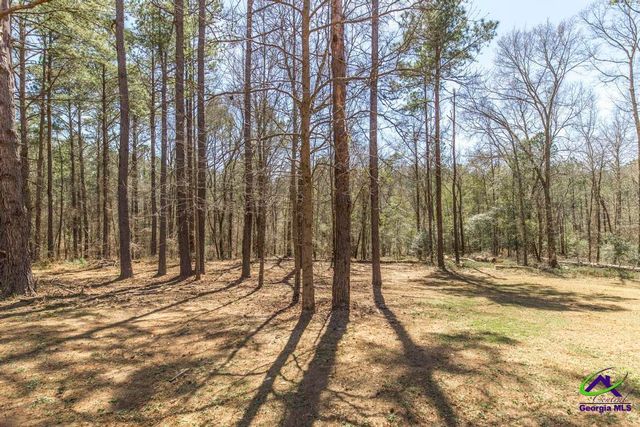 246 Wilville Road, Fort Valley, GA 31030