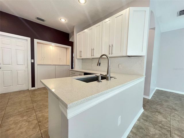 11030 BLAINE TOP PLACE, Tampa, FL 33626