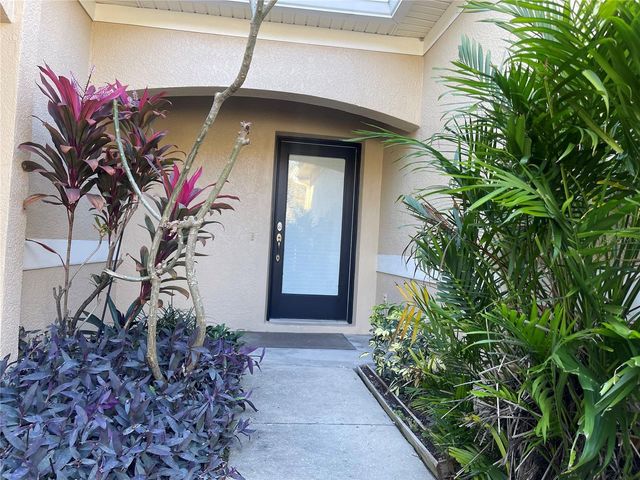 11030 BLAINE TOP PLACE, Tampa, FL 33626