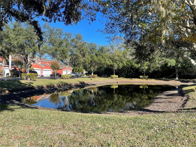 11030 BLAINE TOP PLACE, Tampa, FL 33626