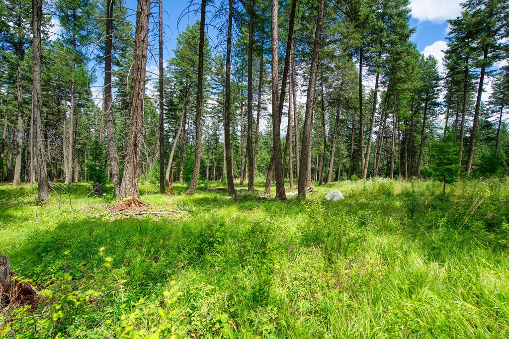 Image 1 of property listing at 161 Rosewood Lot 10, Whitefish, MT 59937