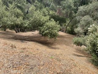 0 Graceland, Glendale, CA 91206