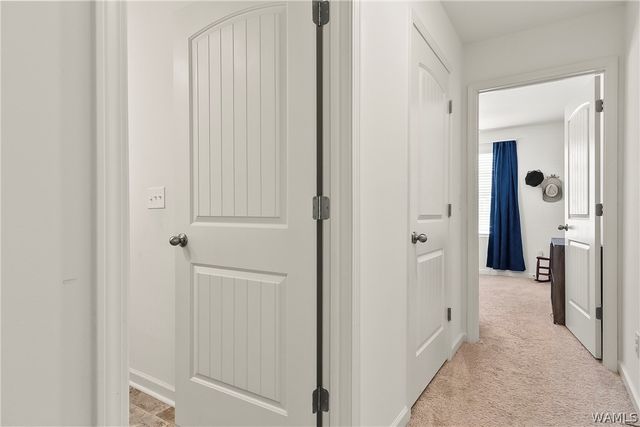 3721 Cattail, Northport, AL 35473